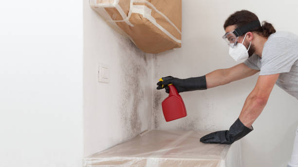 Professional Basement Mold Remediation technician working in Wantagh, NY