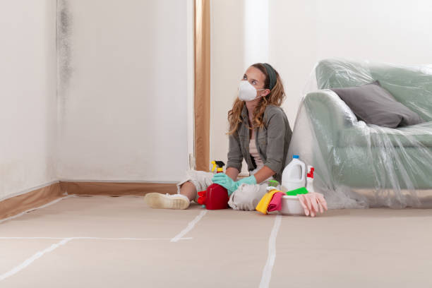 Reliable Basement Mold Remediation contractor in Wantagh, NY by WQB Mold Removal
